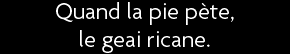 t shirt Quand la pie p�te, le geai ricane