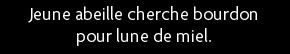t shirt Jeune abeille cherche bourdon pour lune de miel