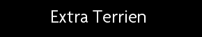 t shirt Extra terrien