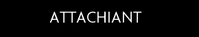 t shirt Je me r�sume : ATTACHIANT
