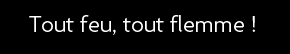 t shirt Tout feu, tout flemme , selon....