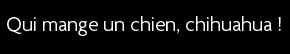 t shirt Qui mange un chien, chihuahua... 