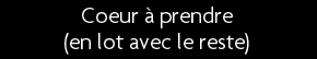 t shirt Coeur � prendre (en lot avec le reste)