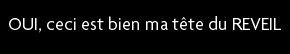 t shirt OUI, ceci est bien ma t�te du REVEIL !!!