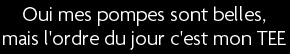 t shirt Oui mes pompes sont belles , mais l'ordre du jour c'est mon TEE