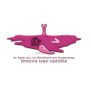 tee shirt Le lapin qui ...