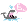 tee shirt So whale