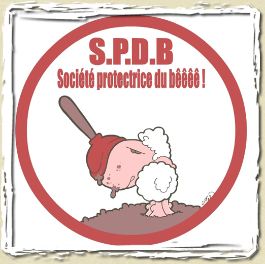 tee shirt S.P.D.B