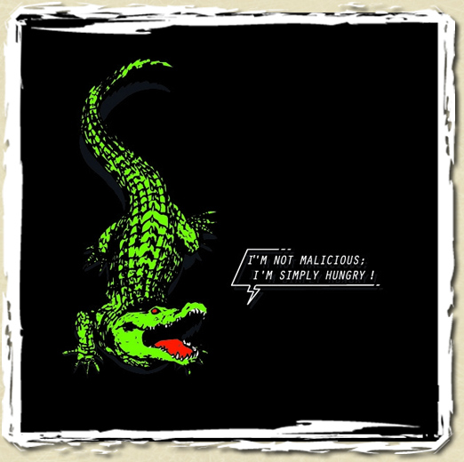 tee shirt GATOR