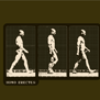 tee shirt Homo erectus