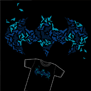 tee shirt Batman fan club