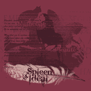 tee shirt Spleen et ideal