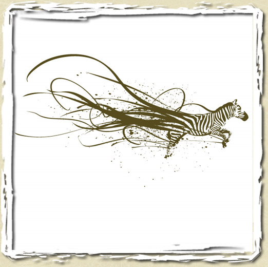 tee shirt Zebras