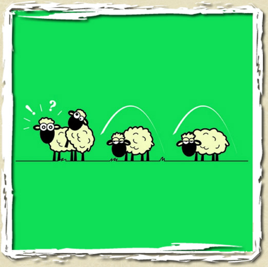 tee shirt Saute mouton