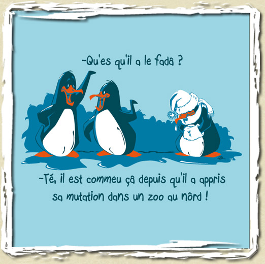 tee shirt Le Fada