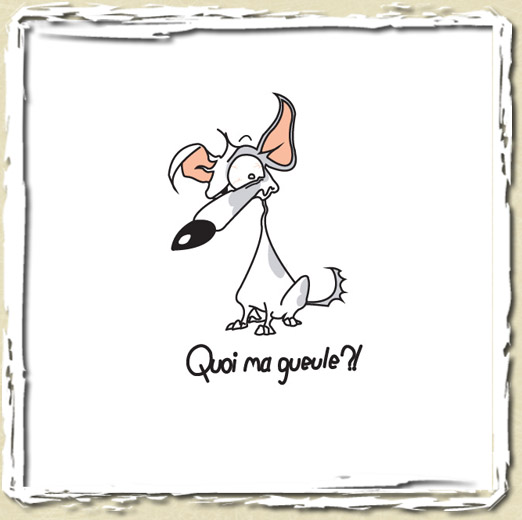 tee shirt Quoi ma gueule