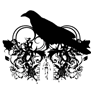 tee shirt Crow
