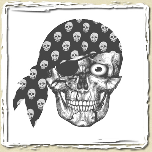 tee shirt Pirate 