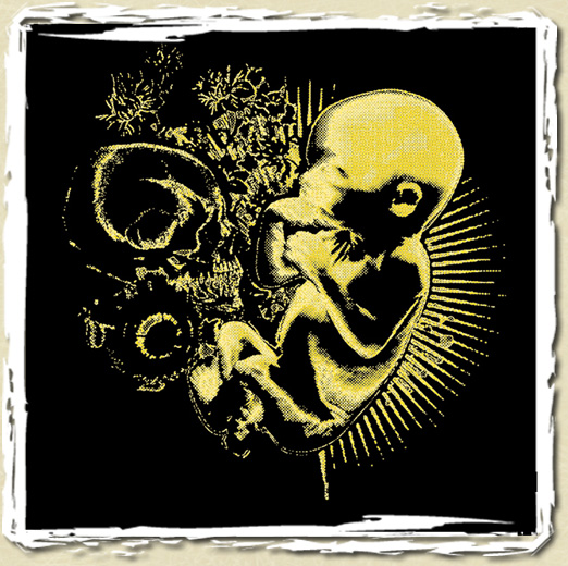 tee shirt Serenity