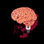 tee shirt USB Universal Slave Brain
