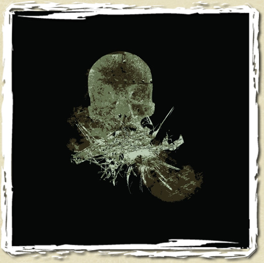 tee shirt Skull