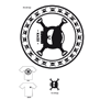 tee shirt Skullkaze