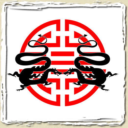 tee shirt 2 DRAGONS
