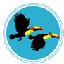 tee shirt 2 TOUCANS