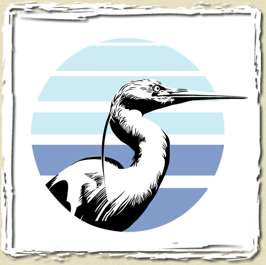 tee shirt HERON