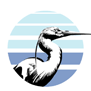 tee shirt HERON
