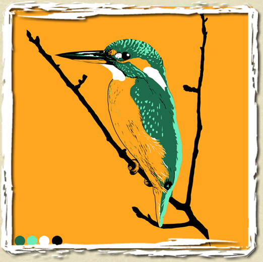tee shirt Martin pêcheur