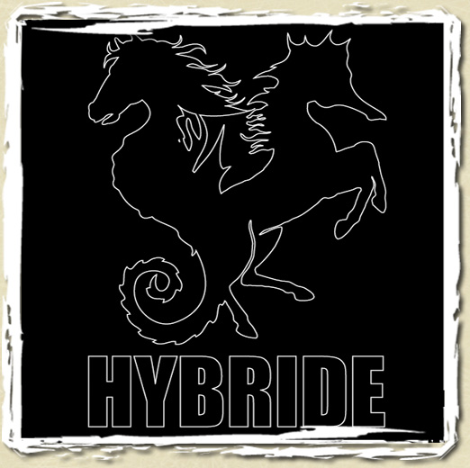 tee shirt Hybride