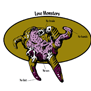 tee shirt Monster anatomy