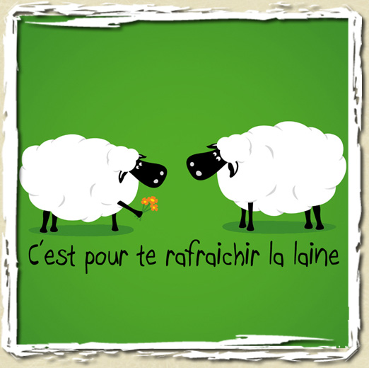 tee shirt Le chawing gum des moutons