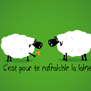 tee shirt Le chawing gum des moutons
