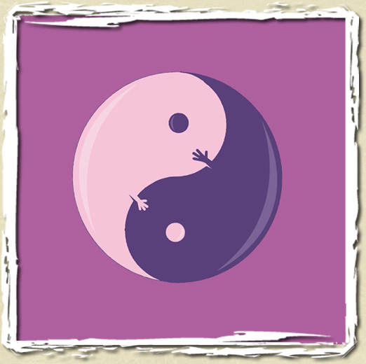 tee shirt Sex ying yang