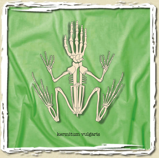 tee shirt Kermitum