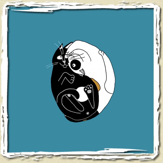 tee shirt Ying Yang cat
