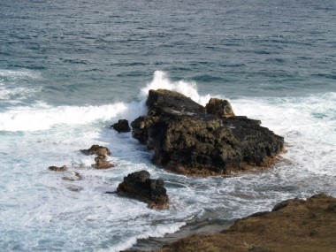 Zoomer
